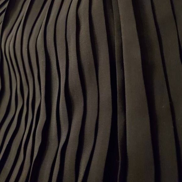 Black Pleated Skirt - Picture 3 of 3